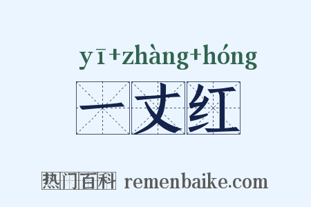 一丈红是什么意思的图片